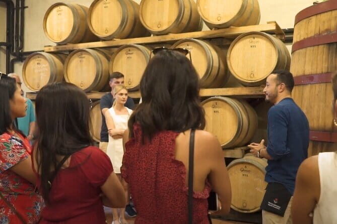 Chianti vineyards: Small-Group tour with wine tasting & Dinner - Final Thoughts