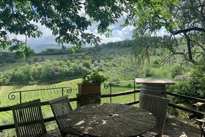 Chianti Vineyards Tours in Private Luxury Van from Florence - Analyzing the Experience: What to Expect