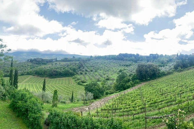 Chianti Vineyards Tours in Private Luxury Van from Florence - Final Thoughts