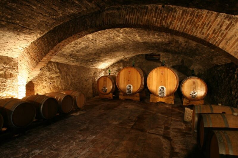 Chianti: Wine and Olive Oil Tasting with Cellar Tour - What to Expect from the Tour