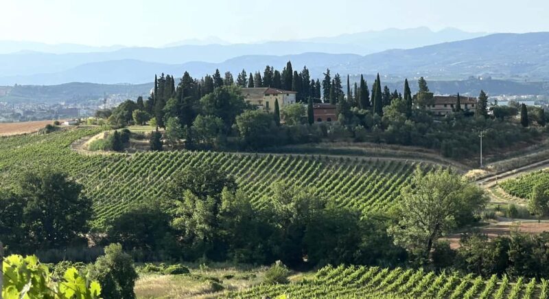 Chianti Wine and Special Light Lunch - Chianti Wine and Special Light Lunch: An Honest Look at a Rustic Tuscan Experience
