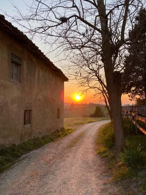 Chianti Wine and Special Light Lunch - Who Is This Tour For?