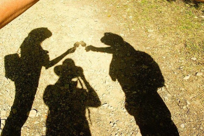 Chianti Wine and Vinci half day Small Group Tour from Montecatini Terme - FAQs