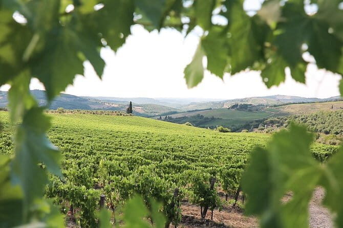 Chianti Wine Tour from Florence - Group Size, Duration, and Value
