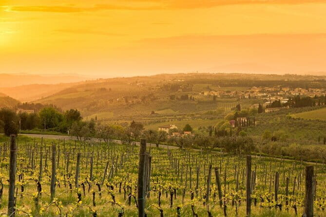 Chianti Wine Tour from Florence to San Gimignano with 2 Wineries - Return to Florence: End of a Memorable Day