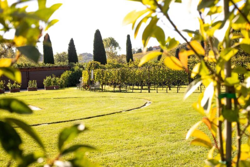 Chianti Wine Tour from Florence: Visit & Taste at 2 Wineries - An In-Depth Look at the Chianti Wine Tour