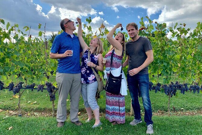 Chianti Wine Tour in Tuscany from Florence - The Experience: What to Expect from the Tour