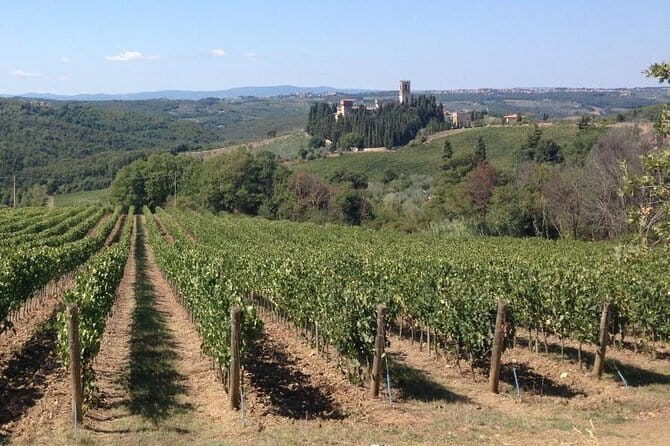 Chianti Wine Tour - Private Wine experience in Tuscany Countryside - An In-Depth Look at the Tour