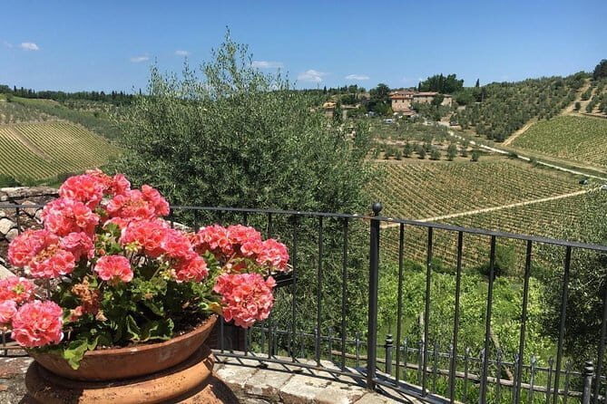 Chianti Wine Tour - Private Wine experience in Tuscany Countryside - Final Thoughts