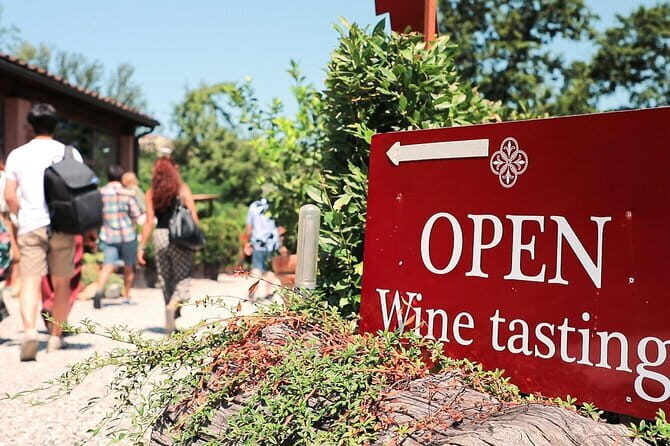 Chianti Wine Tour: Two Wine Tastings, Vineyards and Cellar Visit - Key Points