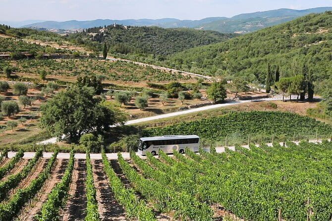 Chianti Wine Tour: Two Wine Tastings, Vineyards and Cellar Visit - The Drive Through Chianti’s Scenic Route