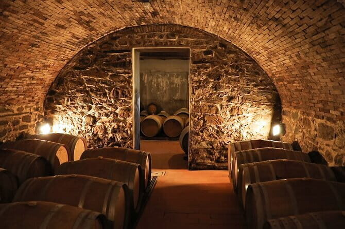 Chianti Wine Tour: Two Wine Tastings, Vineyards and Cellar Visit - Downsides and Considerations