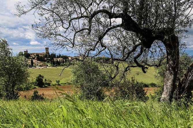 Chianti Wineries Tour with Tuscan Lunch and San Gimignano - FAQs