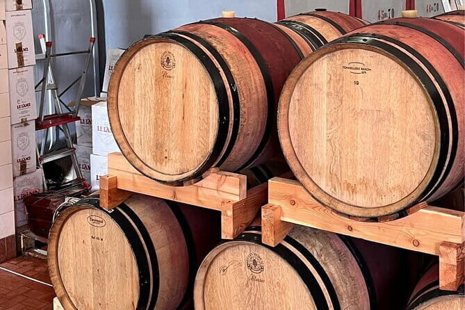 Chianti Winery + Brolio Castle Private Tour - Introducing the Chianti Winery + Brolio Castle Private Tour