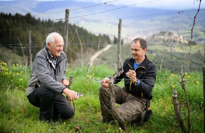 Chianti Winery Tour with Wine & Food Tasting near Florence - What to Expect from the Experience