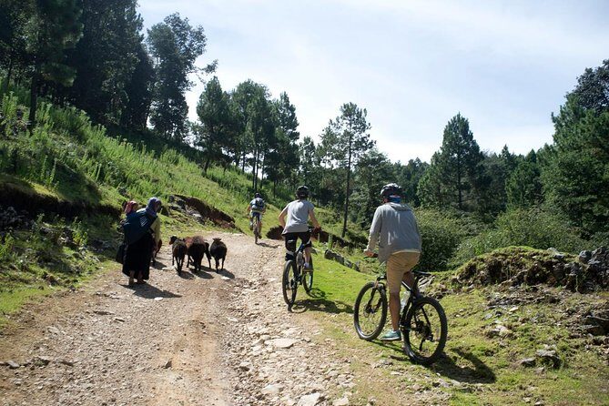 Chiapas Indigenous Villages and Mountain Bike Tour - An Honest Look at the Tour
