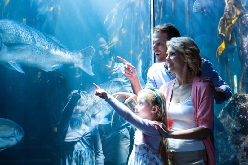 Chicago: 1-5 Day Attraction Pass with Shedd Aquarium - Key Points