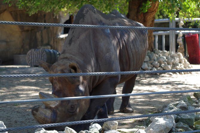 Chicago Amazing Lakefront Bike Tour - Who Should Consider This Tour?