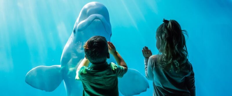 Chicago CityPASS®: Save up to 49% at 5 Top Attractions - FAQ