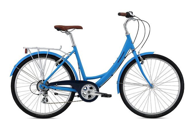 Chicago Full Day Bike Rental - What to Expect on Your Bike Day