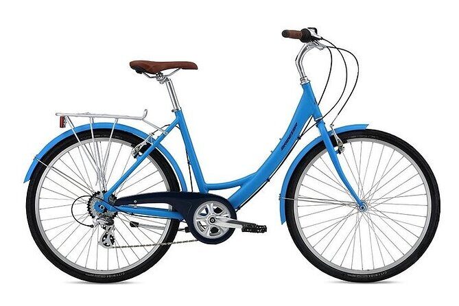 Chicago Half-Day Bike Rental - What Makes This Bike Rental Stand Out?