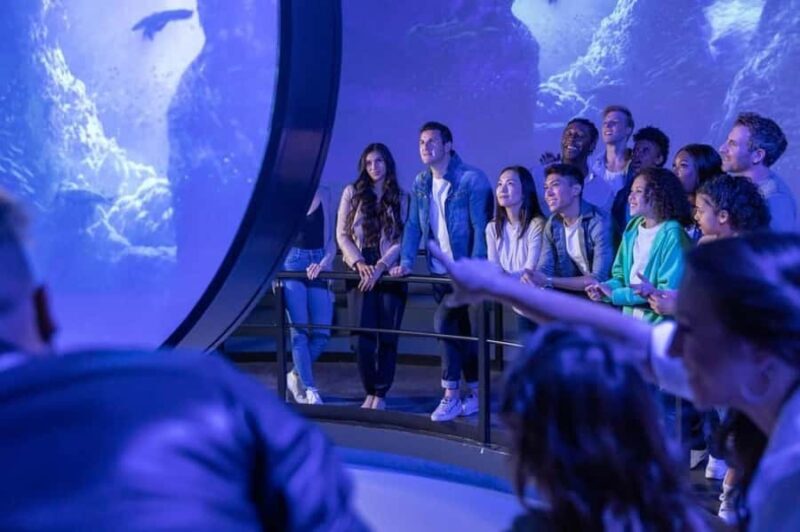 Chicago: Immersive Flyover Journey Ticket - Value for Money