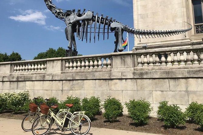 Chicago Lakefront Electric Bike Tour - The Downsides and What to Watch Out For
