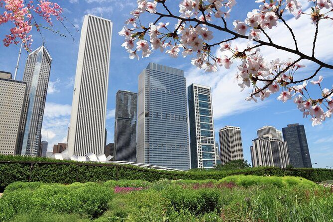 Chicago Millennium Park Self-Guided Walking Tour - Who Should Consider This Tour?