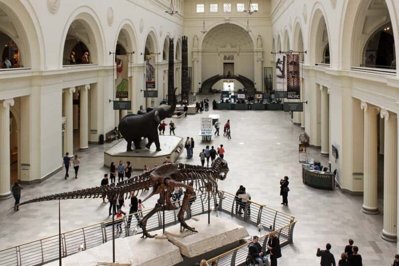 Chicago : The Field Museum Skip the Line 2H Guided Tour - The Guide and Tour Experience