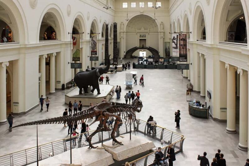 Chicago : The Field Museum Skip the Line 2H Guided Tour - Final Thoughts