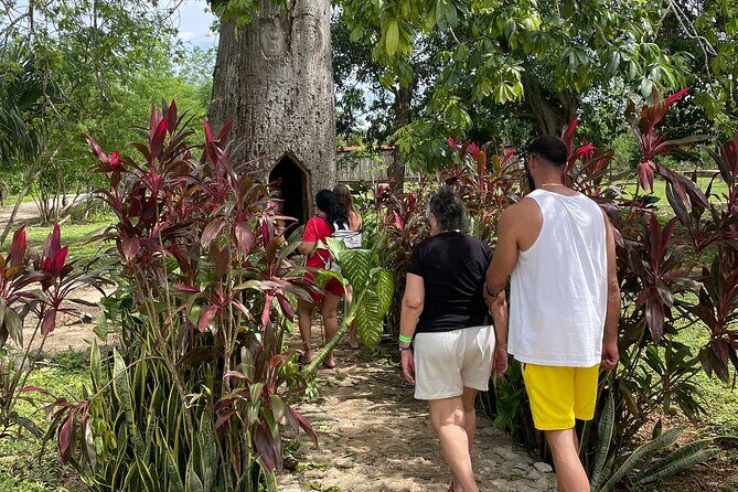 Chichen Itza and Mayan Traditions - Key Points