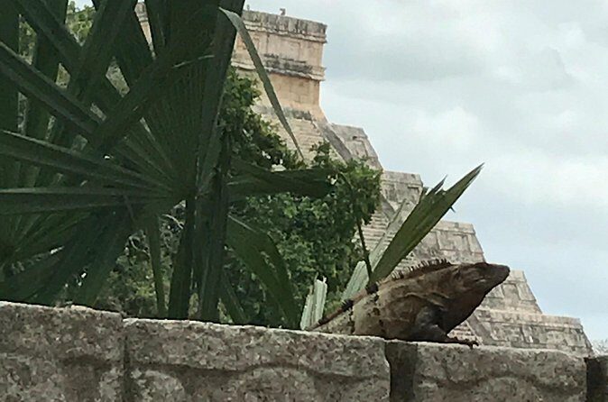 Chichen Itza Private experience - The Experience from the Traveler’s Perspective