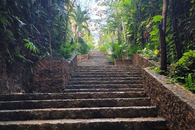 Chichen Itza Private Tour Ciudadela Norte and Cenote Tsukan - The Experience: What Travelers Say