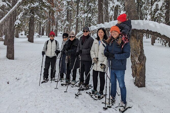 Chickadee Ridge Beginner Snowshoe Activity - Authentic Traveler Insights