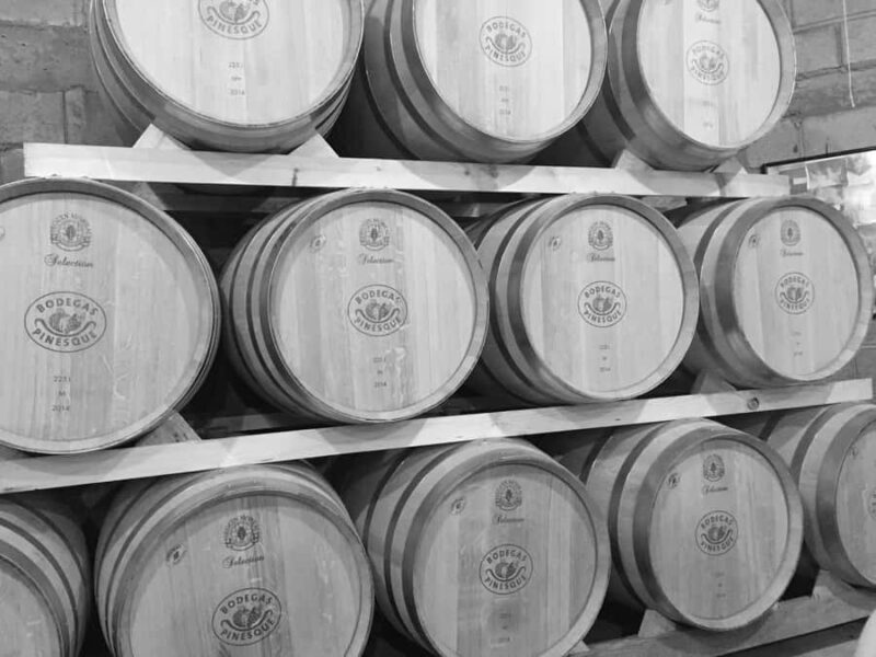 Chihuahua: Elemental Wine Experience with Tasting and Tour - A Closer Look at What You Can Expect