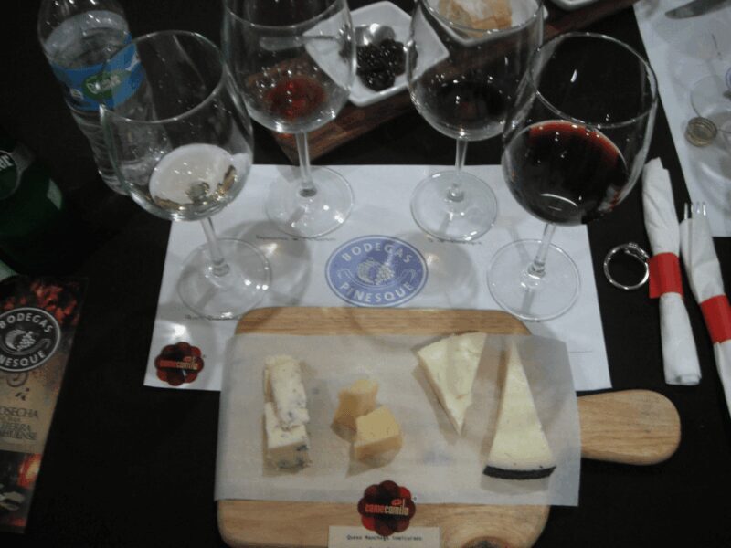 Chihuahua: Romantic Wine Tasting Experience - The Experience Provider