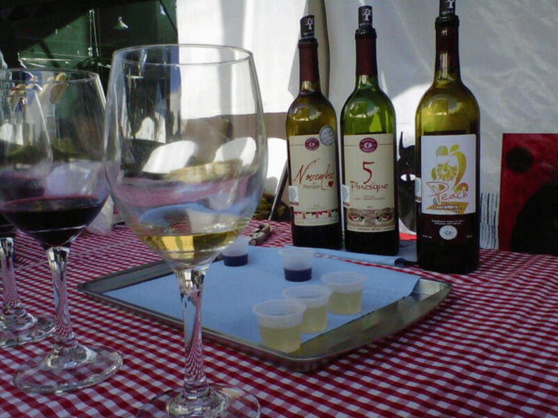 Chihuahua: Wine Tasting Tour - What to Expect from the Tour