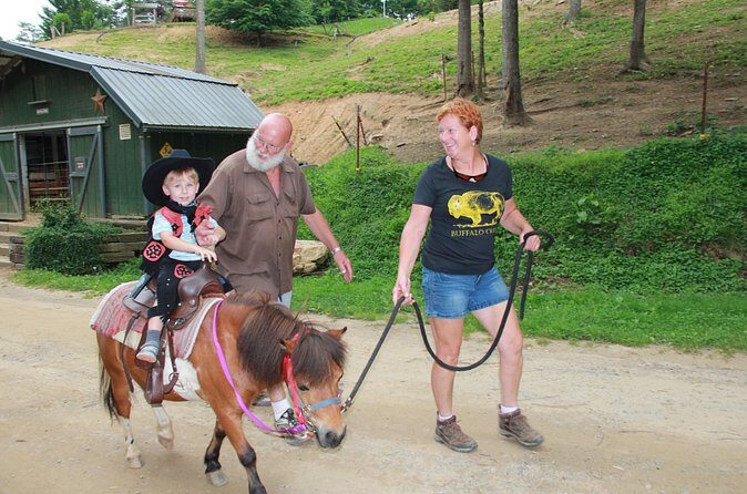 Children Mini Horse Rides - Who Will Enjoy This Experience?
