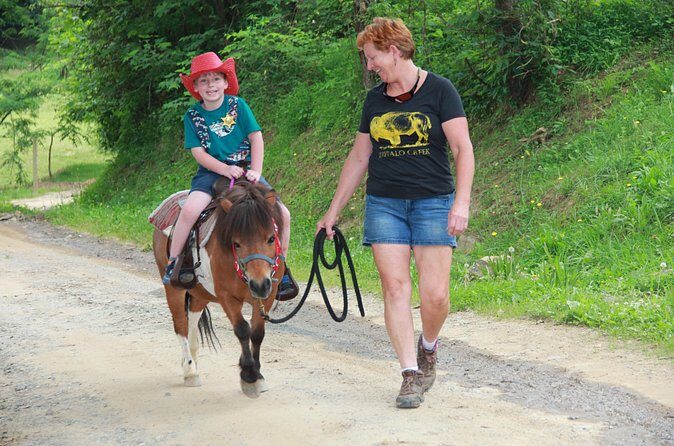 Children Mini Horse Rides - Final Thoughts