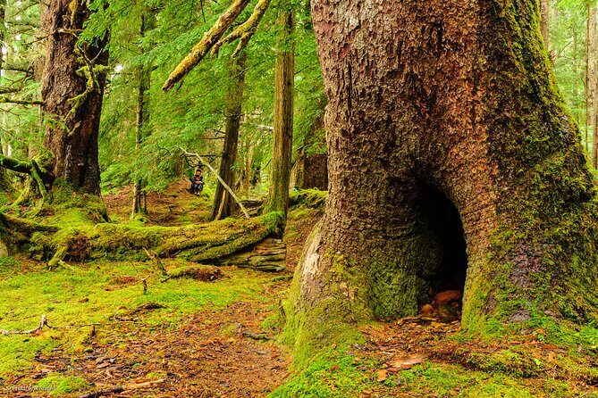 Chilkoot Lake Kayaing - Departing from Haines. - The Experience: Details and Practicalities
