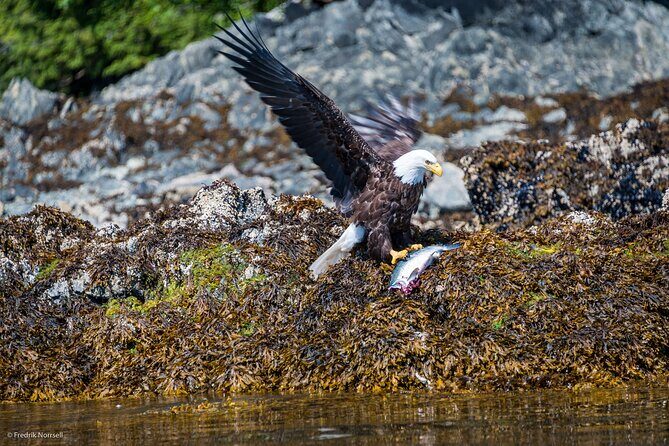 Chilkoot Lake Kayaing - Departing from Haines. - Who Should Consider This Tour?