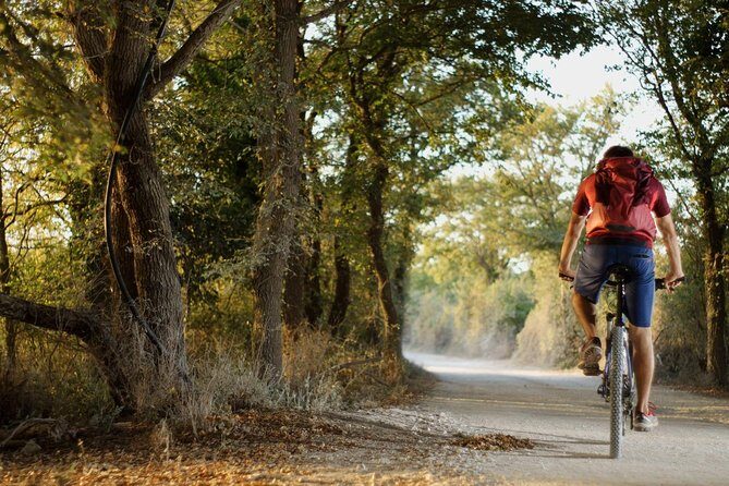 Chill Sunset Tour with E-Bike - Practical Details and Tips