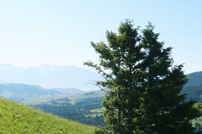 Chimney Rock Trail Ride - What Travelers Say (Based on Available Reviews)