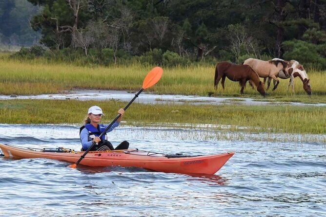 Chincoteague Kayak Rentals around Assateague Island - What to Expect from the Chincoteague Kayak Rental Experience