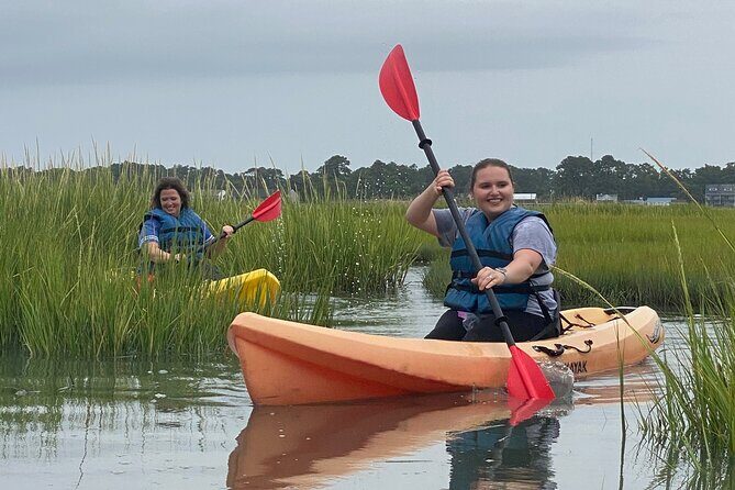 Chincoteague Kayak Rentals around Assateague Island - What Past Participants Might Say (Based on General Feedback)