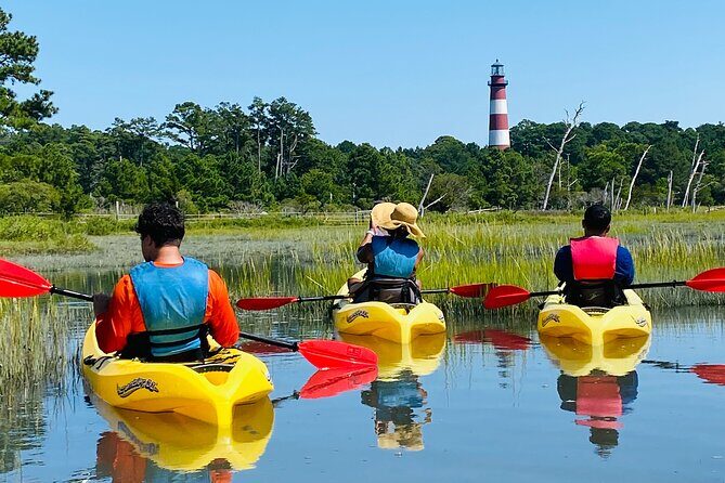 Chincoteague Kayak Rentals around Assateague Island - Who Would Enjoy This Tour?