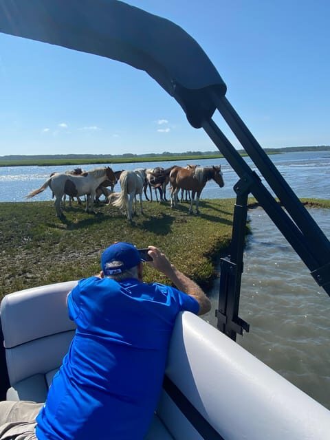 Chincoteague: Premier Pony & Wildlife Small Group Boat Tour - Key Points