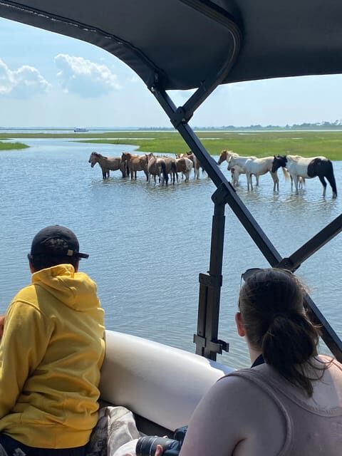 Chincoteague: Premier Pony & Wildlife Small Group Boat Tour - FAQ