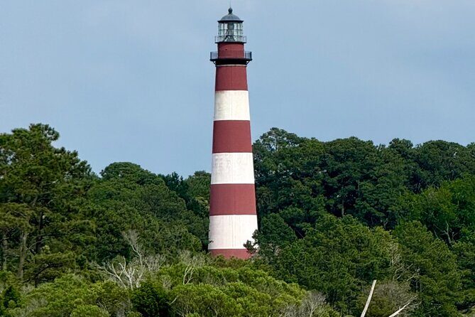 Chincoteague Wildlife Sunset Boat Tour - Who Would Love This Tour