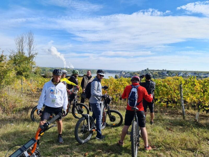Chinon: Bicycle Tour of Saumur Wineries with Picnic Lunch - A Closer Look at the Tour Itinerary